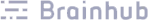 Brainhub